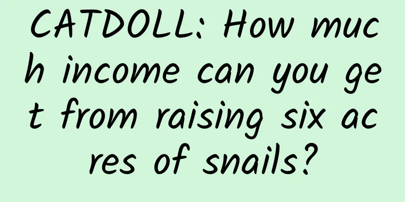 CATDOLL: How much income can you get from raising six acres of snails?
