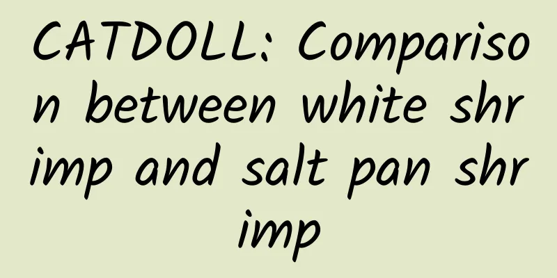 CATDOLL: Comparison between white shrimp and salt pan shrimp