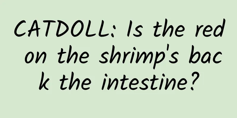 CATDOLL: Is the red on the shrimp's back the intestine?