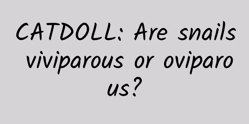 CATDOLL: Are snails viviparous or oviparous?