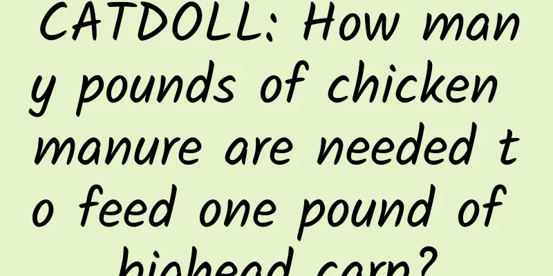 CATDOLL: How many pounds of chicken manure are needed to feed one pound of bighead carp?