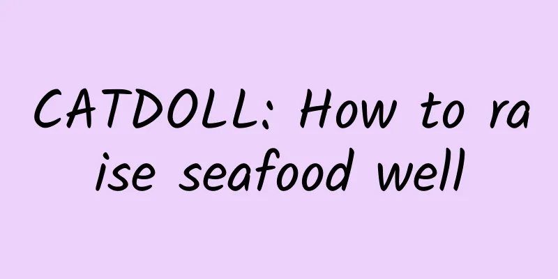 CATDOLL: How to raise seafood well