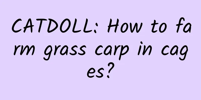 CATDOLL: How to farm grass carp in cages?