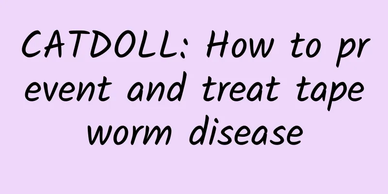 CATDOLL: How to prevent and treat tapeworm disease