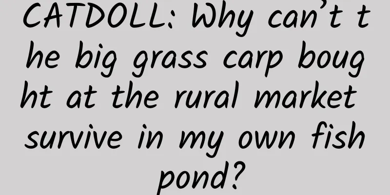 CATDOLL: Why can’t the big grass carp bought at the rural market survive in my own fish pond?