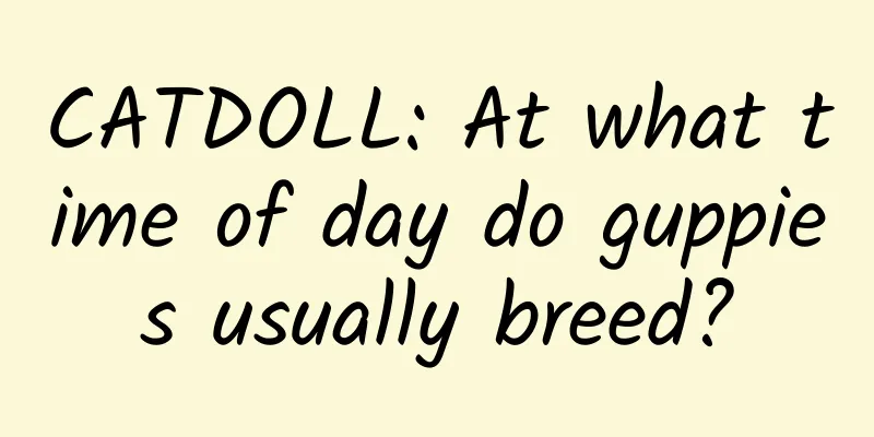 CATDOLL: At what time of day do guppies usually breed?