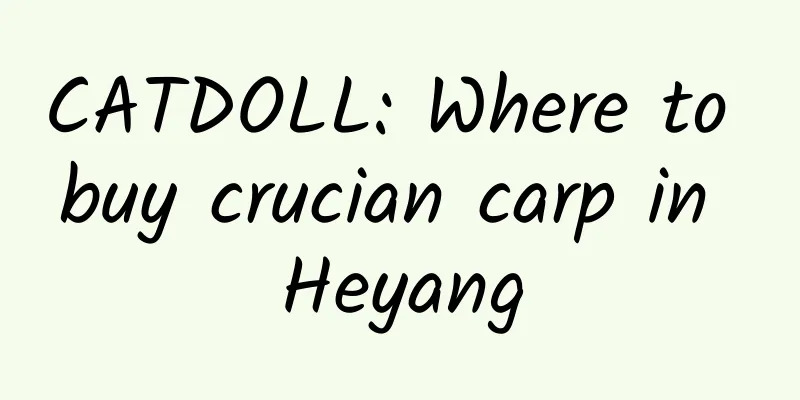 CATDOLL: Where to buy crucian carp in Heyang