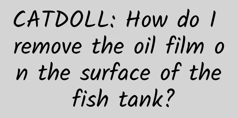 CATDOLL: How do I remove the oil film on the surface of the fish tank?