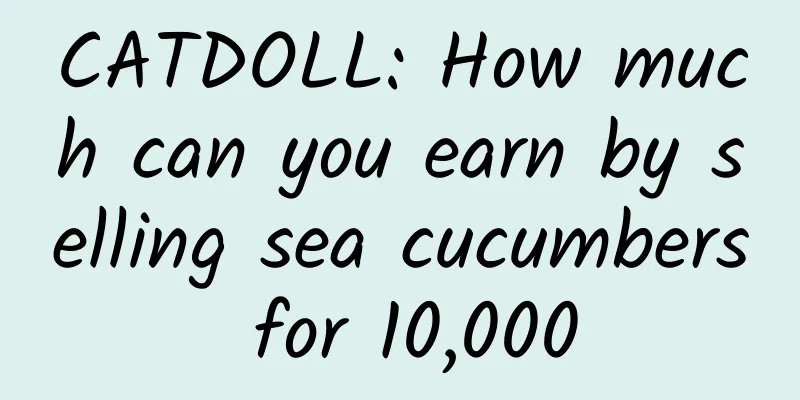 CATDOLL: How much can you earn by selling sea cucumbers for 10,000