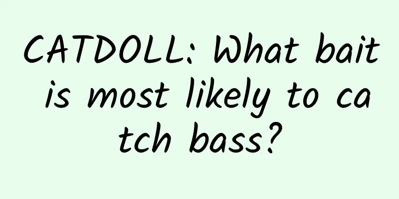 CATDOLL: What bait is most likely to catch bass?