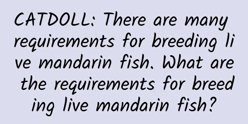 CATDOLL: There are many requirements for breeding live mandarin fish. What are the requirements for breeding live mandarin fish?