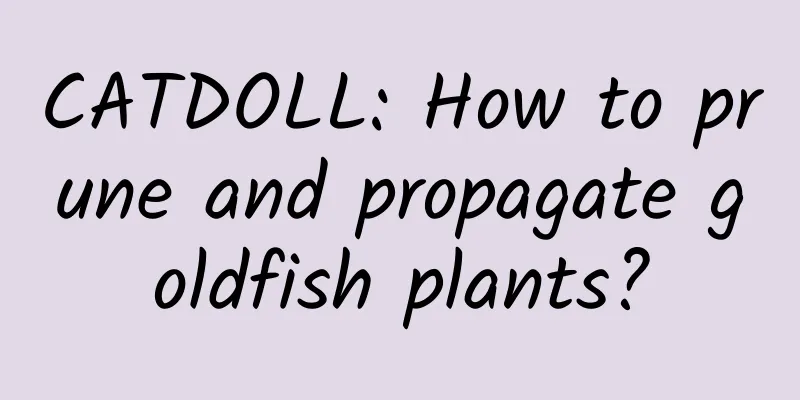 CATDOLL: How to prune and propagate goldfish plants?