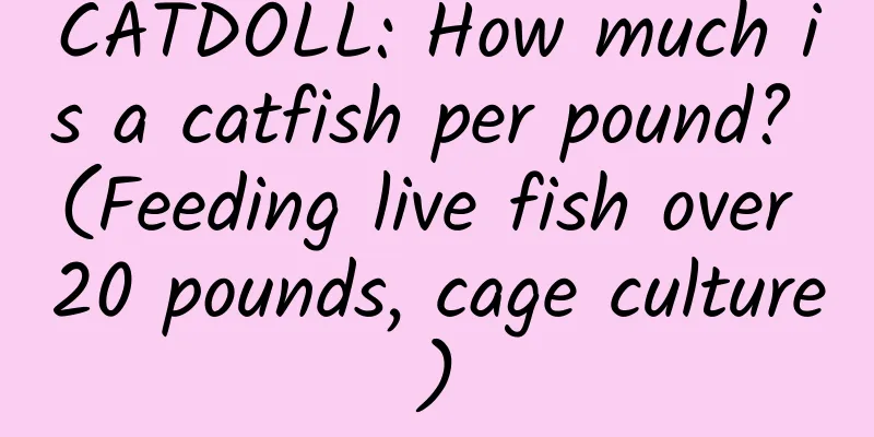 CATDOLL: How much is a catfish per pound? (Feeding live fish over 20 pounds, cage culture)