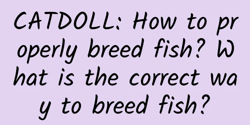 CATDOLL: How to properly breed fish? What is the correct way to breed fish?