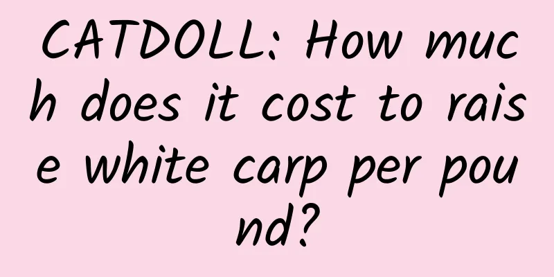 CATDOLL: How much does it cost to raise white carp per pound?