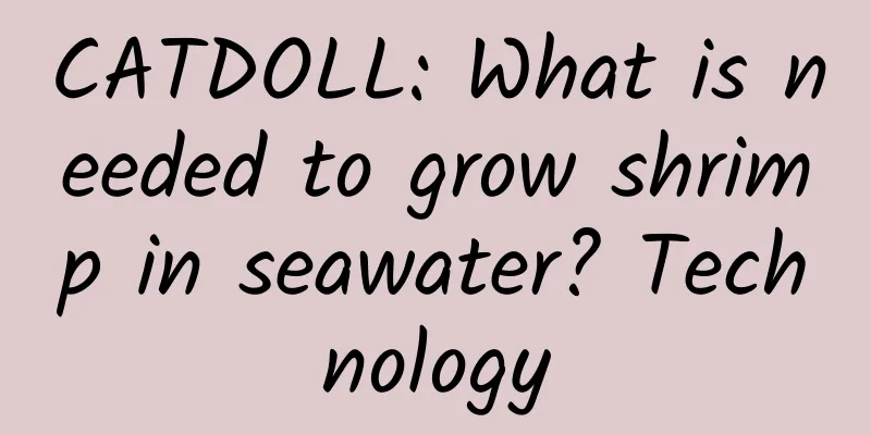 CATDOLL: What is needed to grow shrimp in seawater? Technology