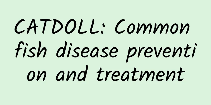 CATDOLL: Common fish disease prevention and treatment