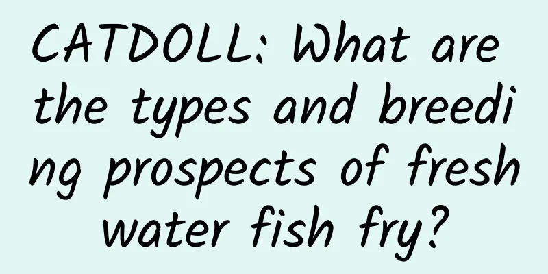 CATDOLL: What are the types and breeding prospects of freshwater fish fry?