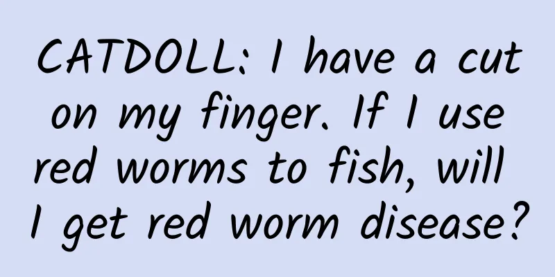 CATDOLL: I have a cut on my finger. If I use red worms to fish, will I get red worm disease?