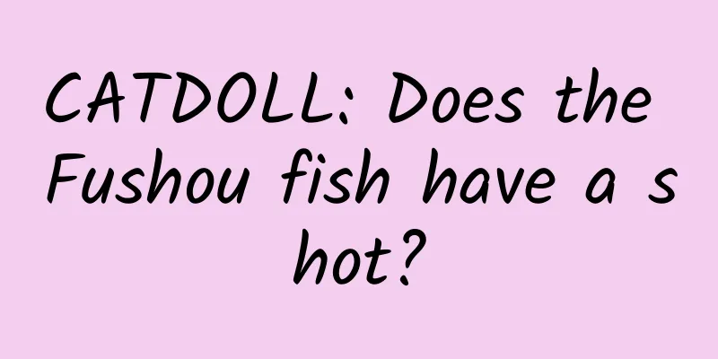 CATDOLL: Does the Fushou fish have a shot?