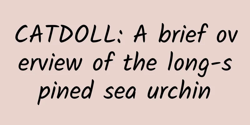CATDOLL: A brief overview of the long-spined sea urchin