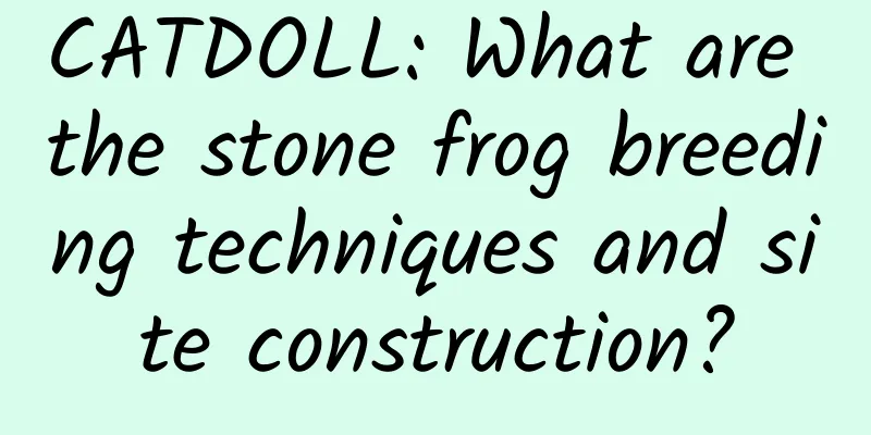 CATDOLL: What are the stone frog breeding techniques and site construction?