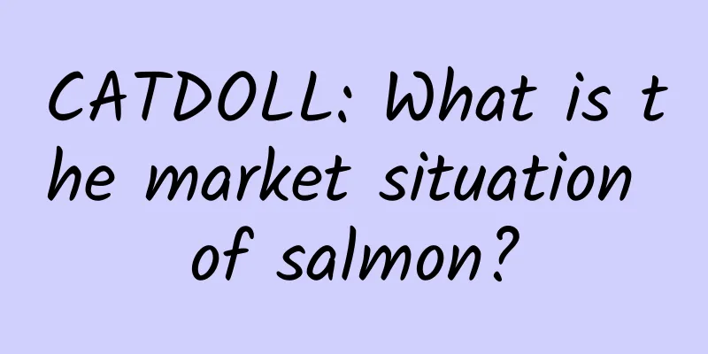 CATDOLL: What is the market situation of salmon?