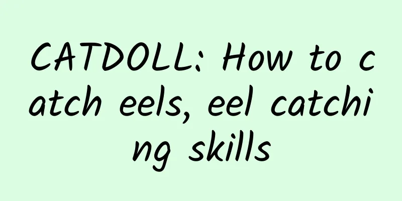 CATDOLL: How to catch eels, eel catching skills
