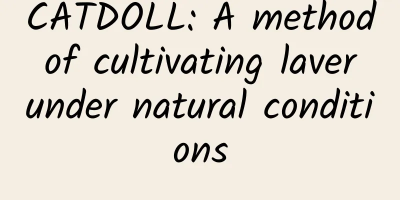 CATDOLL: A method of cultivating laver under natural conditions