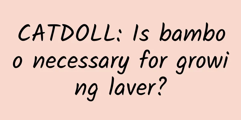 CATDOLL: Is bamboo necessary for growing laver?