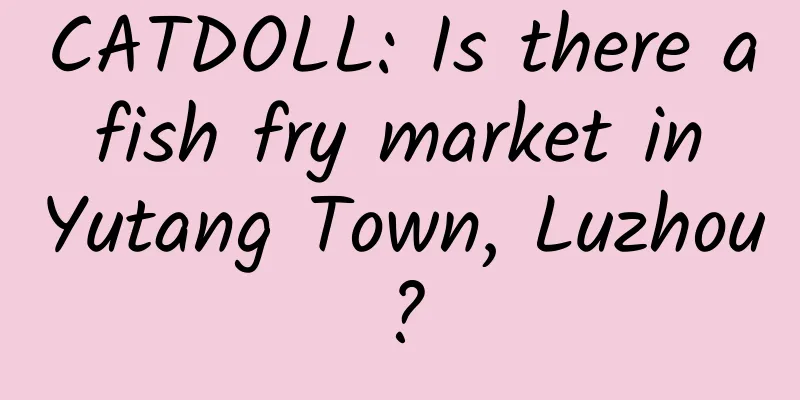 CATDOLL: Is there a fish fry market in Yutang Town, Luzhou?