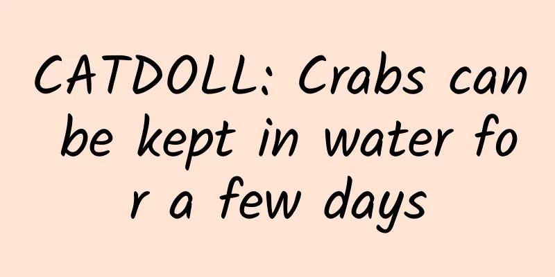 CATDOLL: Crabs can be kept in water for a few days