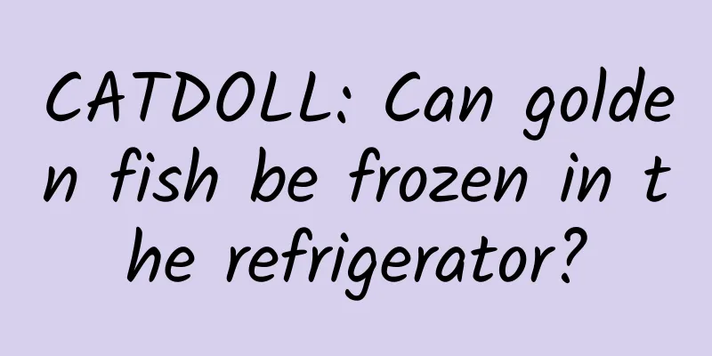CATDOLL: Can golden fish be frozen in the refrigerator?