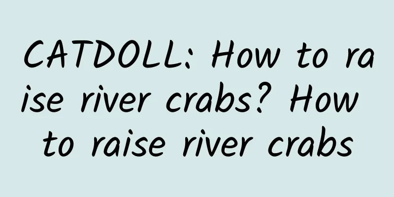 CATDOLL: How to raise river crabs? How to raise river crabs