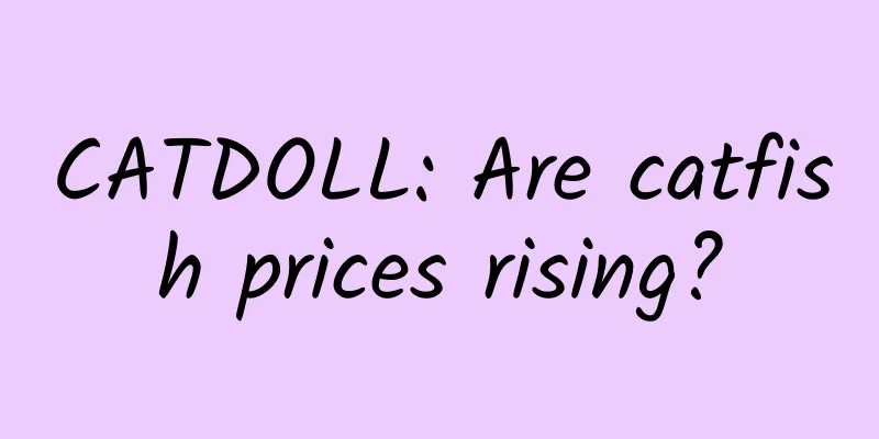CATDOLL: Are catfish prices rising?