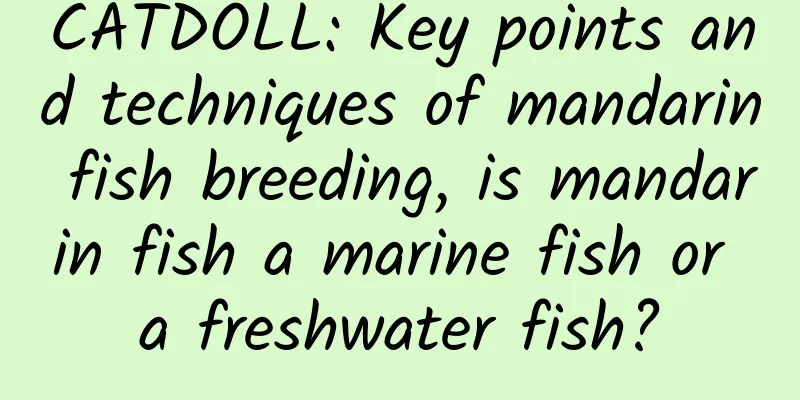 CATDOLL: Key points and techniques of mandarin fish breeding, is mandarin fish a marine fish or a freshwater fish?