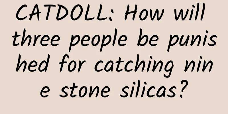 CATDOLL: How will three people be punished for catching nine stone silicas?