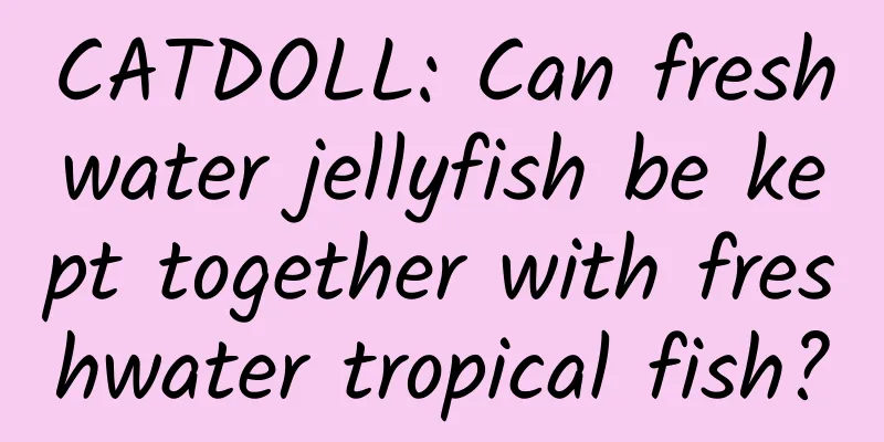 CATDOLL: Can freshwater jellyfish be kept together with freshwater tropical fish?