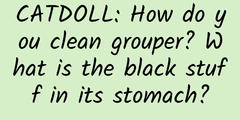 CATDOLL: How do you clean grouper? What is the black stuff in its stomach?