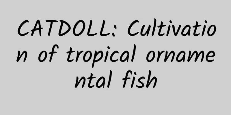 CATDOLL: Cultivation of tropical ornamental fish