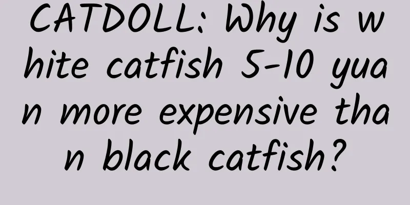 CATDOLL: Why is white catfish 5-10 yuan more expensive than black catfish?
