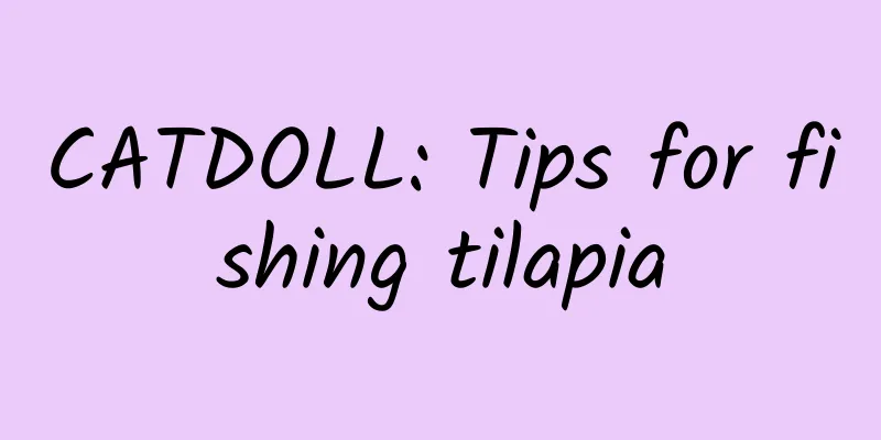 CATDOLL: Tips for fishing tilapia