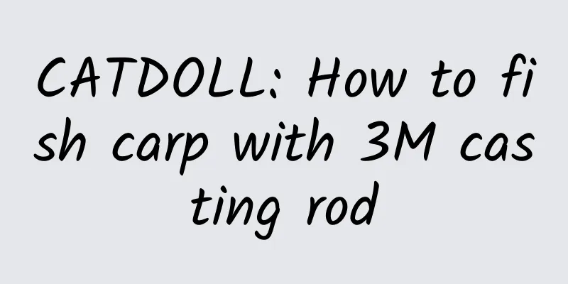 CATDOLL: How to fish carp with 3M casting rod