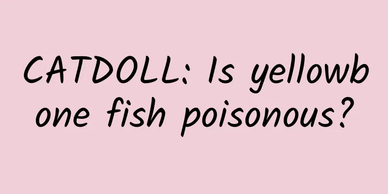 CATDOLL: Is yellowbone fish poisonous?