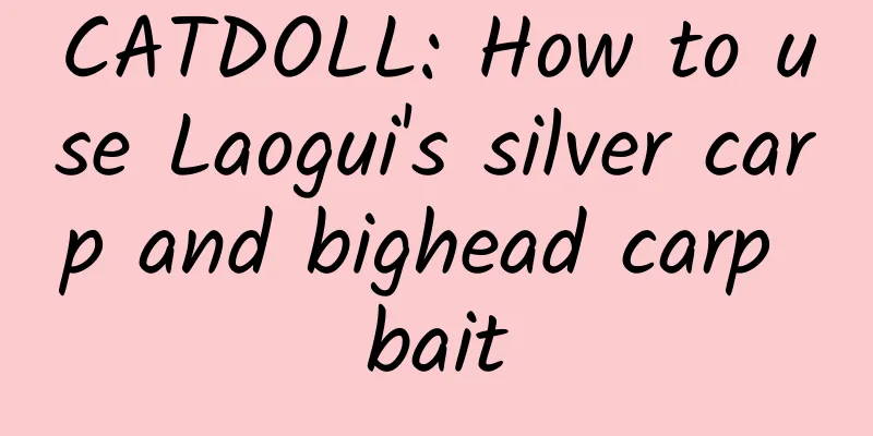 CATDOLL: How to use Laogui's silver carp and bighead carp bait