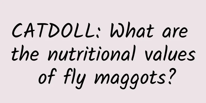 CATDOLL: What are the nutritional values ​​of fly maggots?