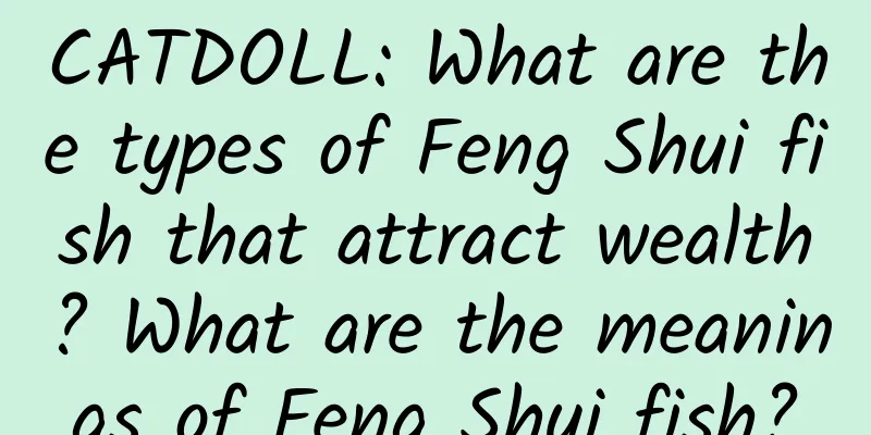 CATDOLL: What are the types of Feng Shui fish that attract wealth? What are the meanings of Feng Shui fish?