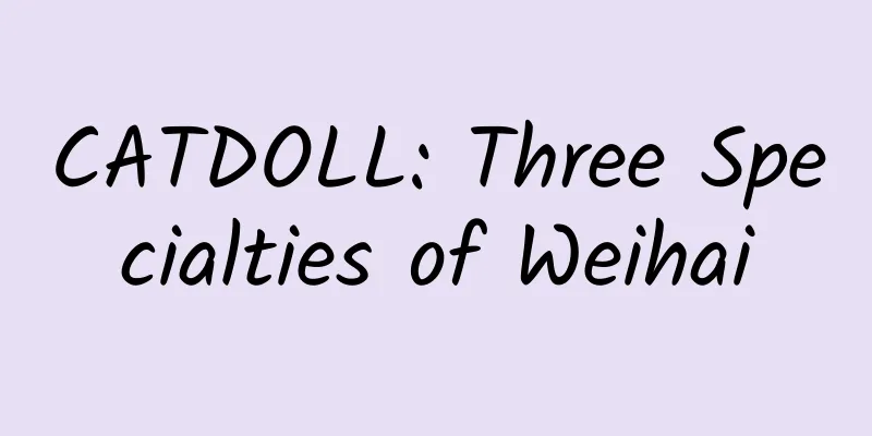 CATDOLL: Three Specialties of Weihai