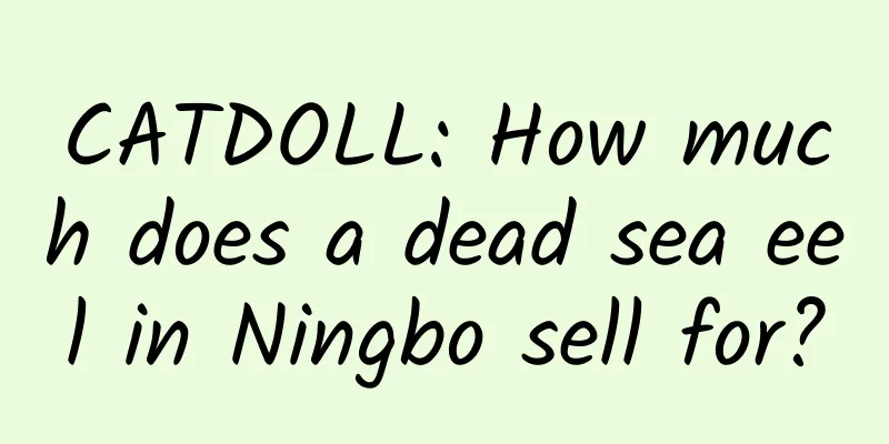 CATDOLL: How much does a dead sea eel in Ningbo sell for?