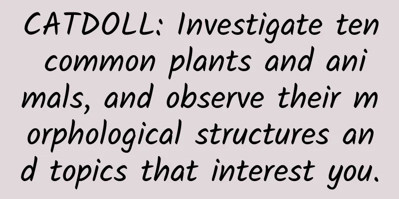 CATDOLL: Investigate ten common plants and animals, and observe their morphological structures and topics that interest you.